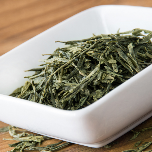 Rolled Sencha Green Tea Organic High Antioxidant ECGC