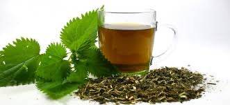 Nettle Leaf Tea