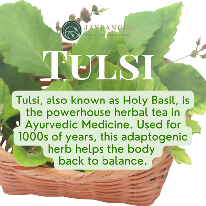 Organic Tulsi Tea