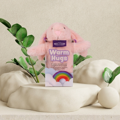 Warm Hugs Teddy