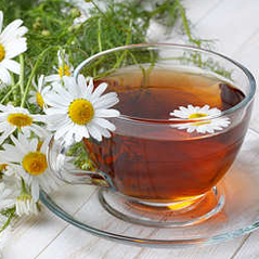 Beautiful Chamomile flowers great for good health, digestion, gas, bloating, cold and flu, calmative